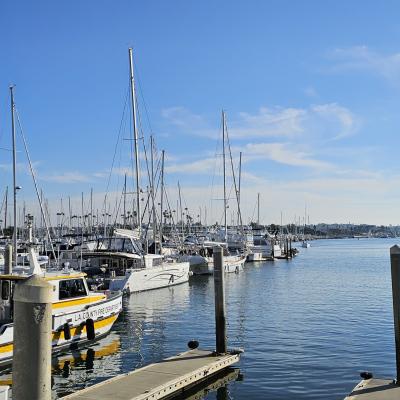 Marina Del Rey