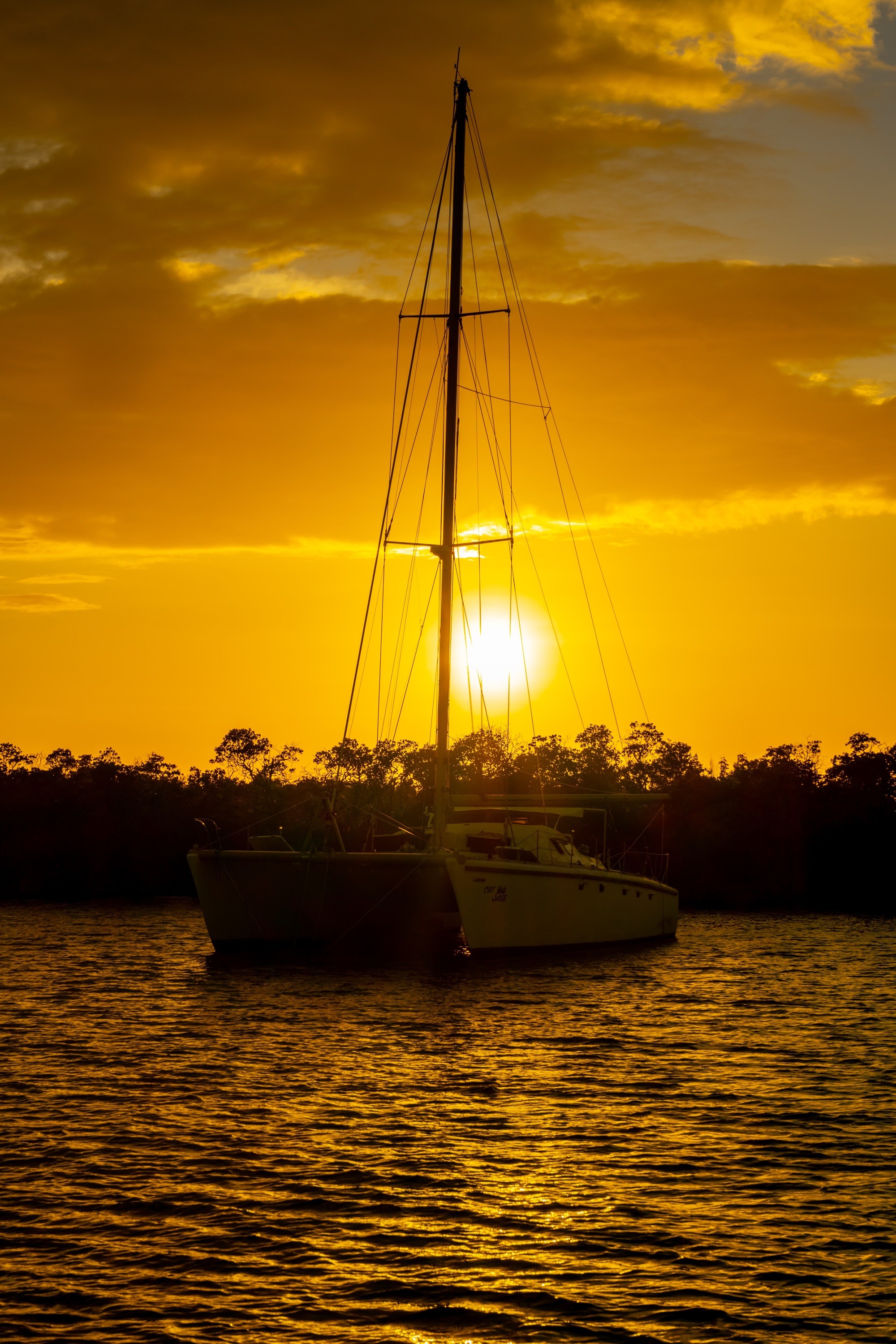 Salinas puerto rico